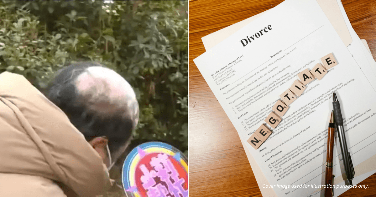 A description of the image