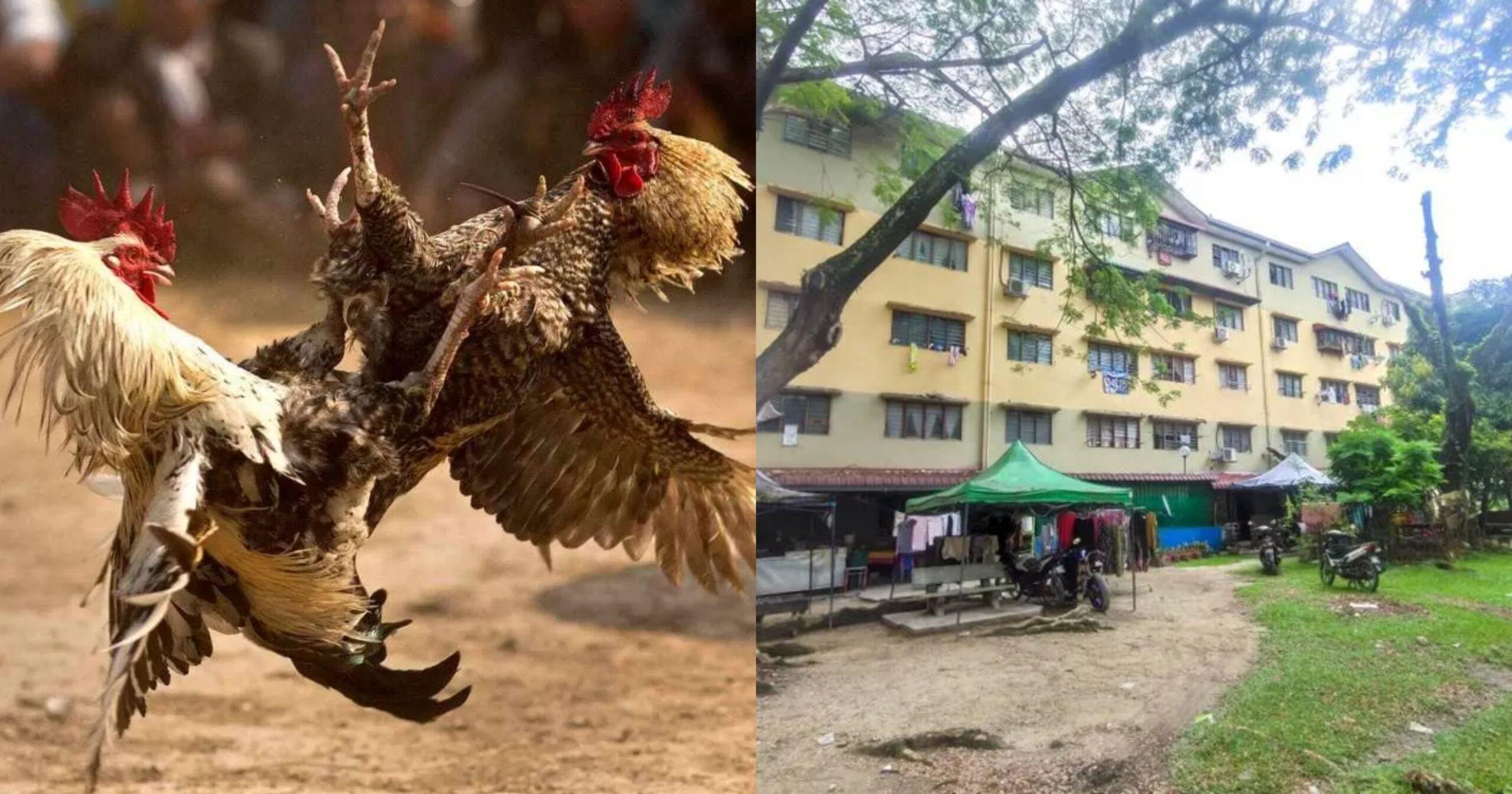 A description of the image