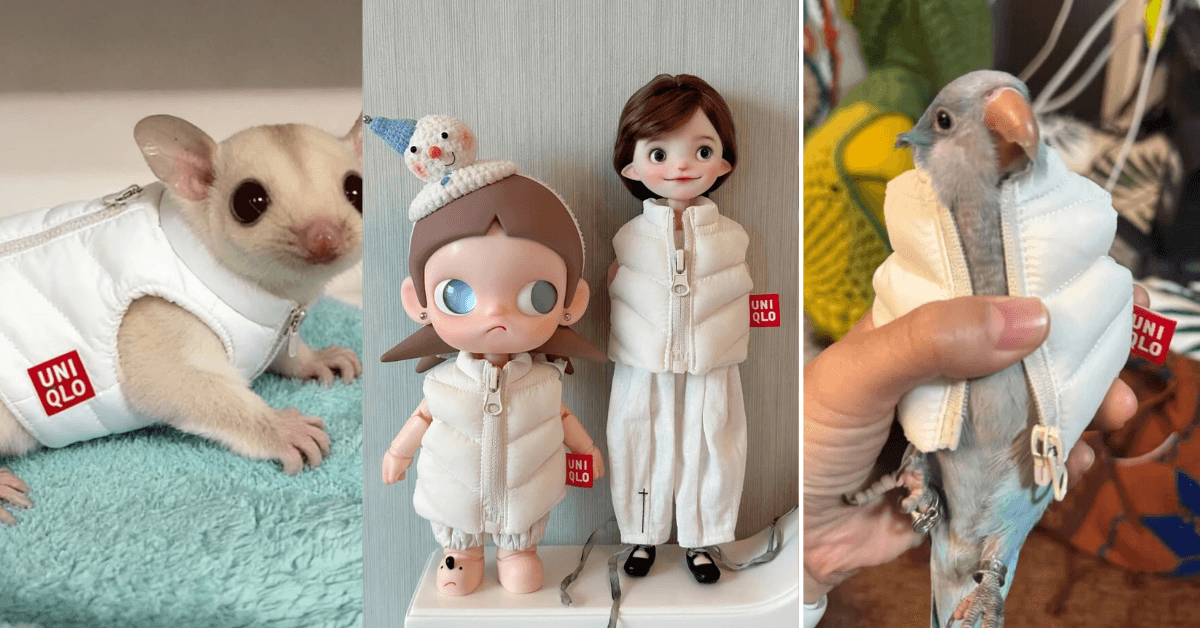 A description of the image