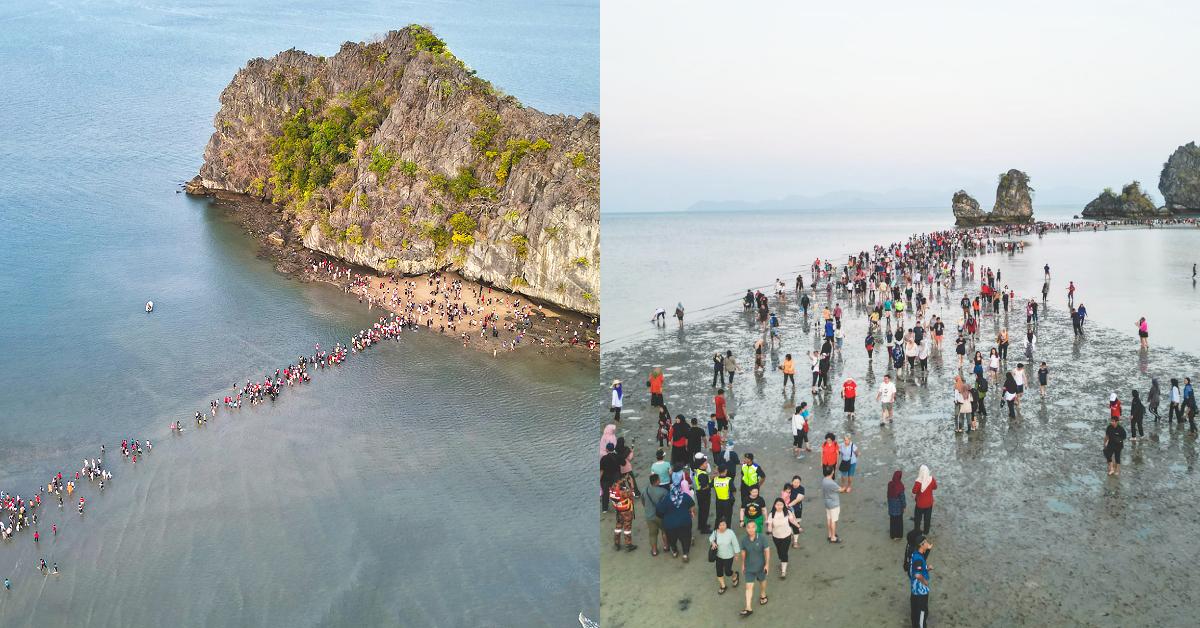 A description of the image