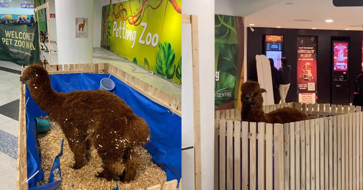 A description of the image