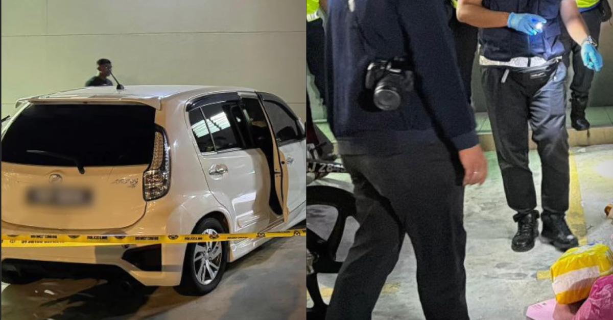 A description of the image