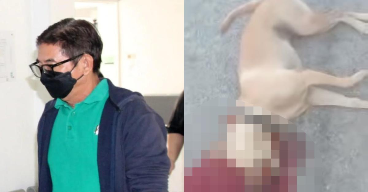 A description of the image