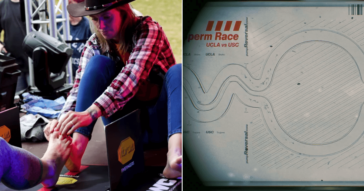 A description of the image