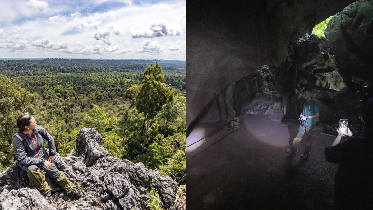 A description of the image