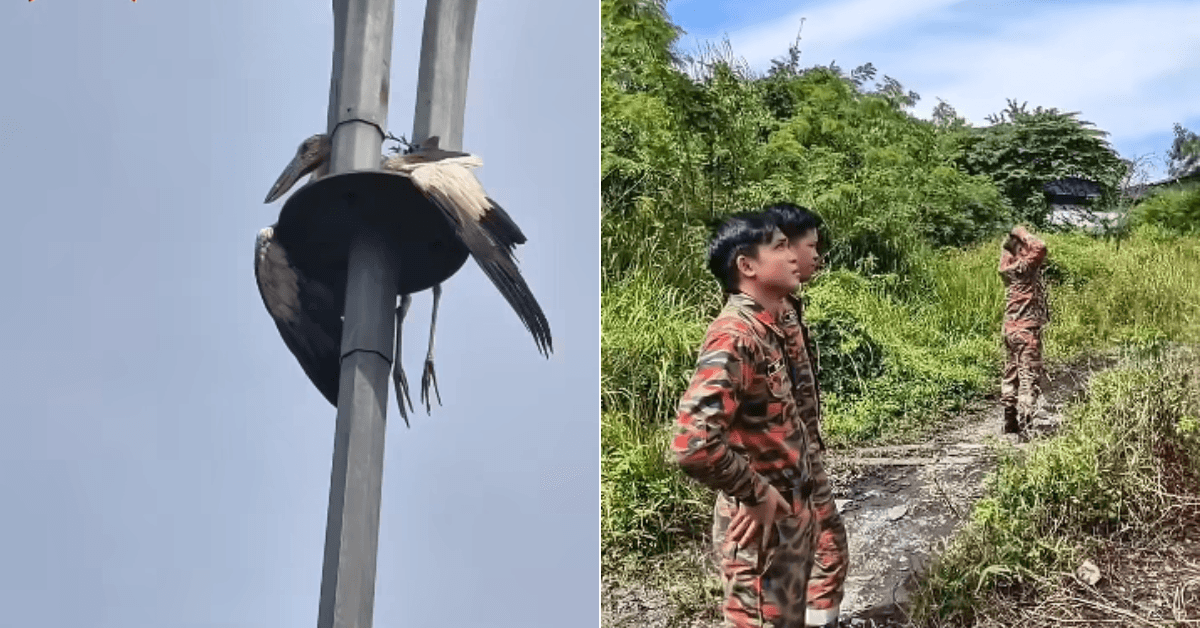 A description of the image