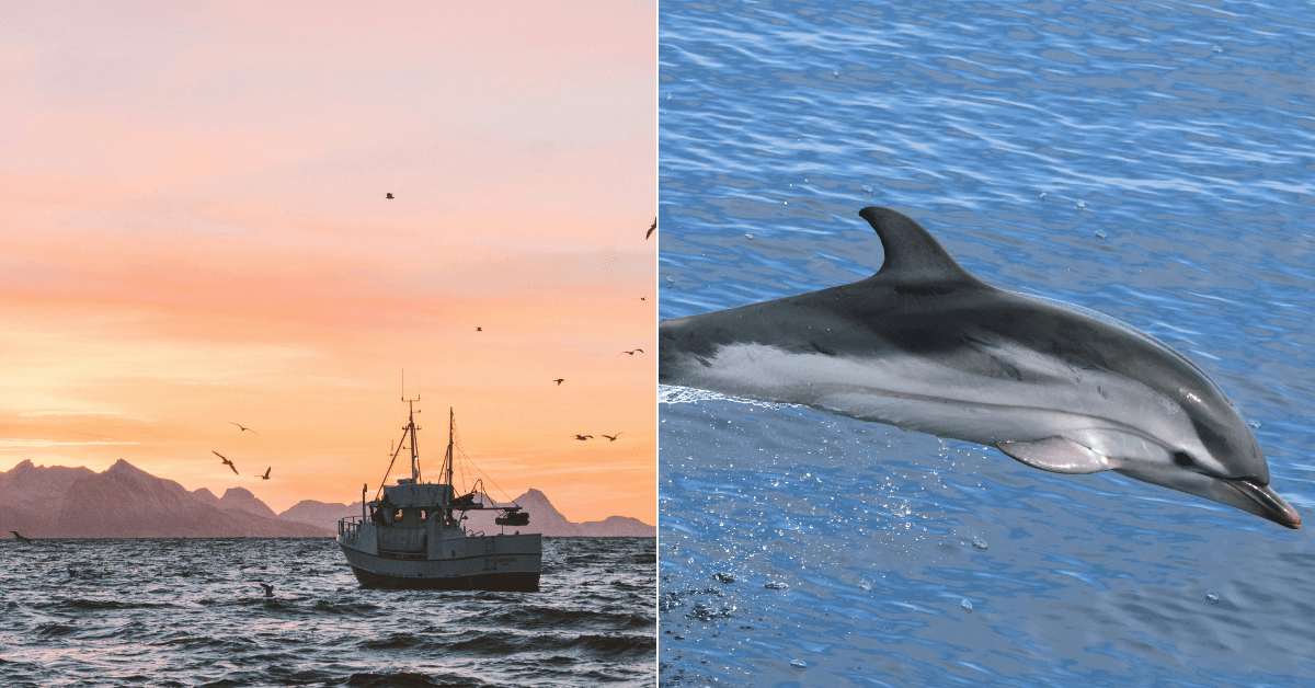 A description of the image