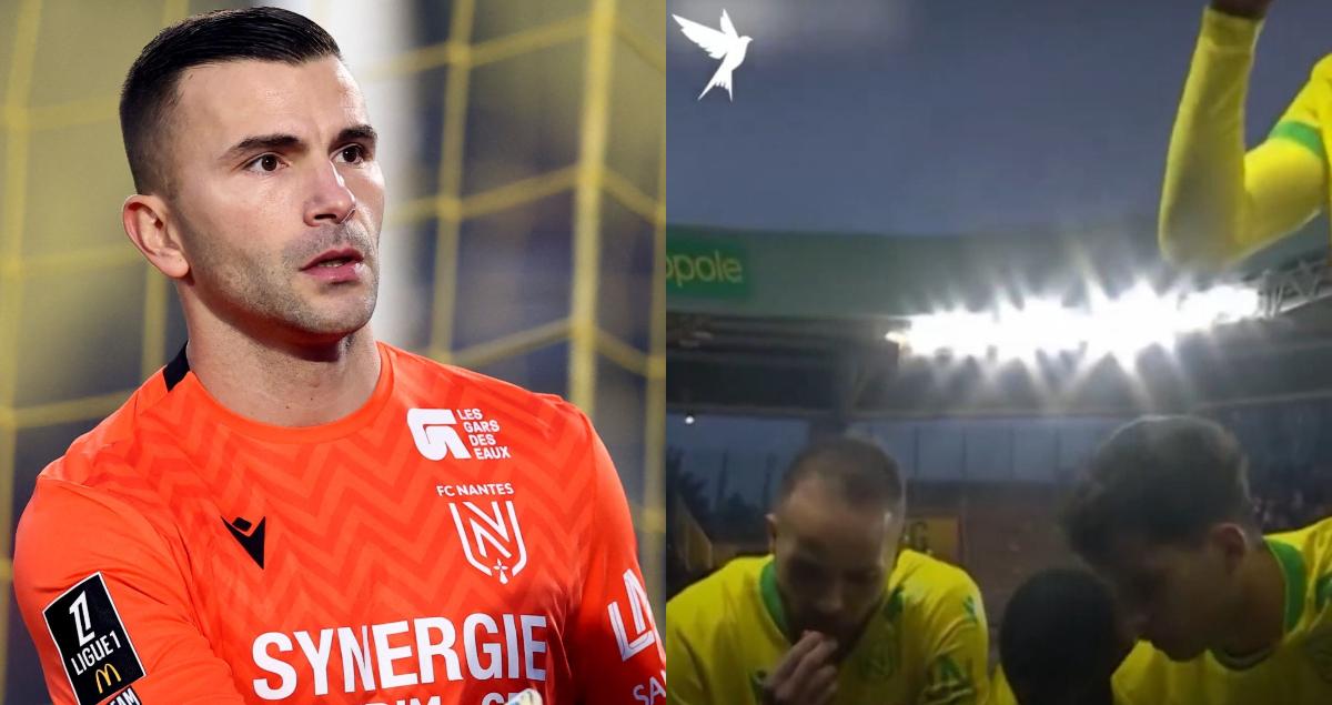 A description of the image