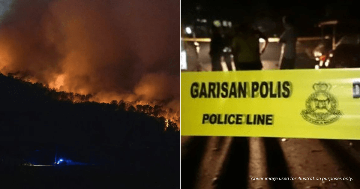 A description of the image