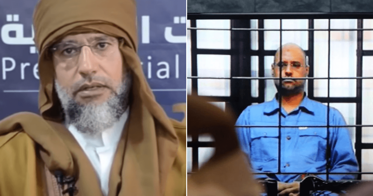 A description of the image