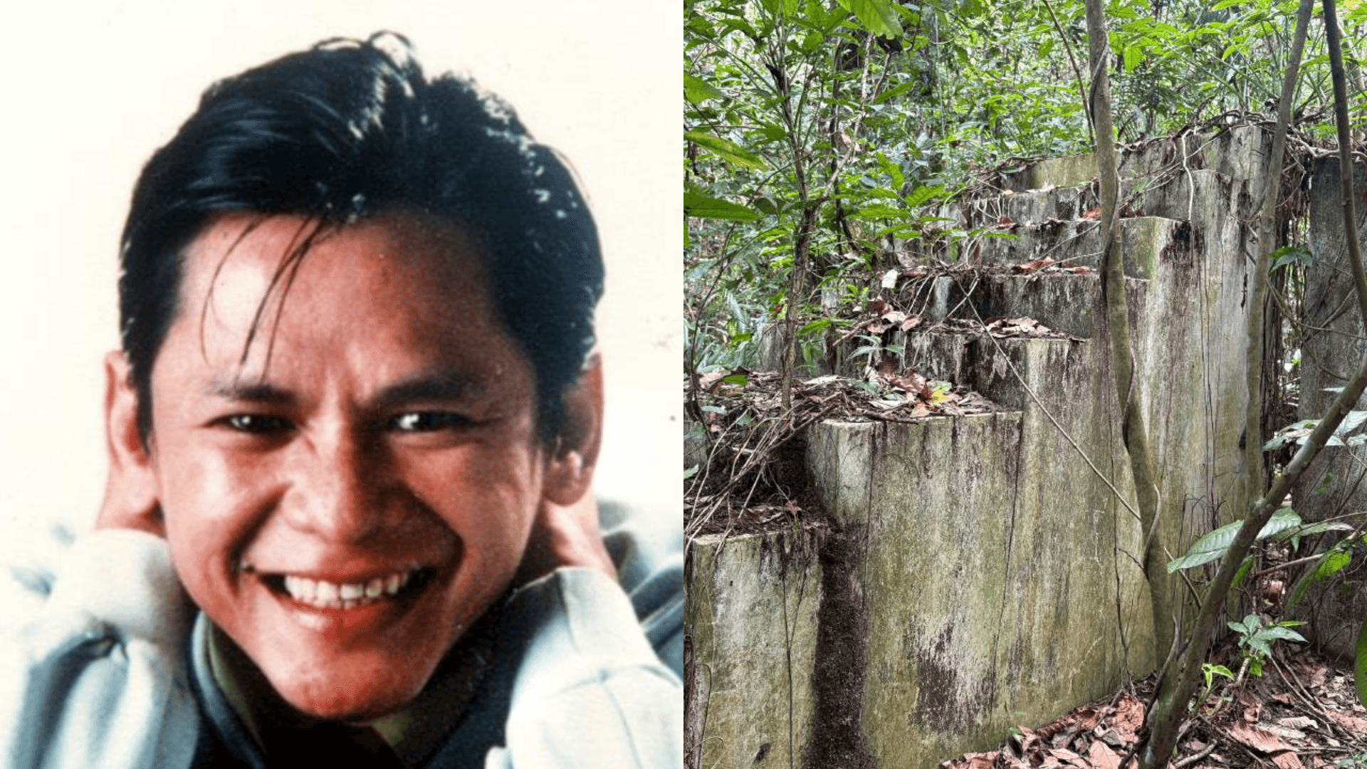 A description of the image