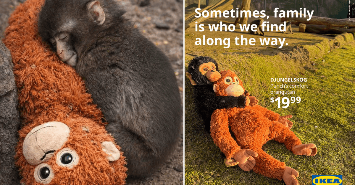 A description of the image