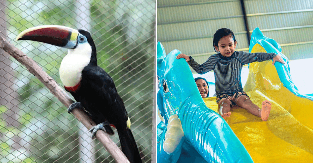 A description of the image