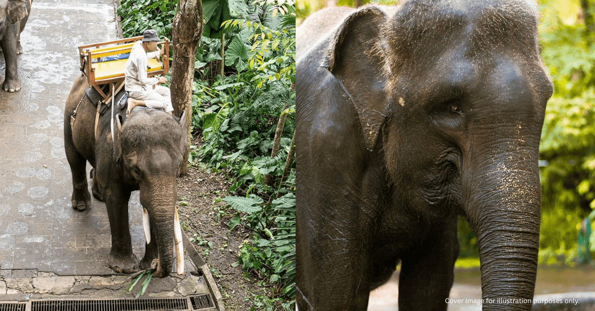 A description of the image