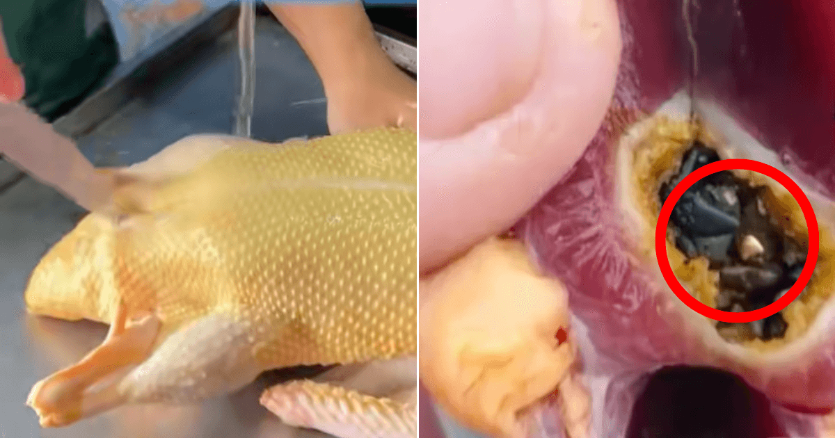 A description of the image