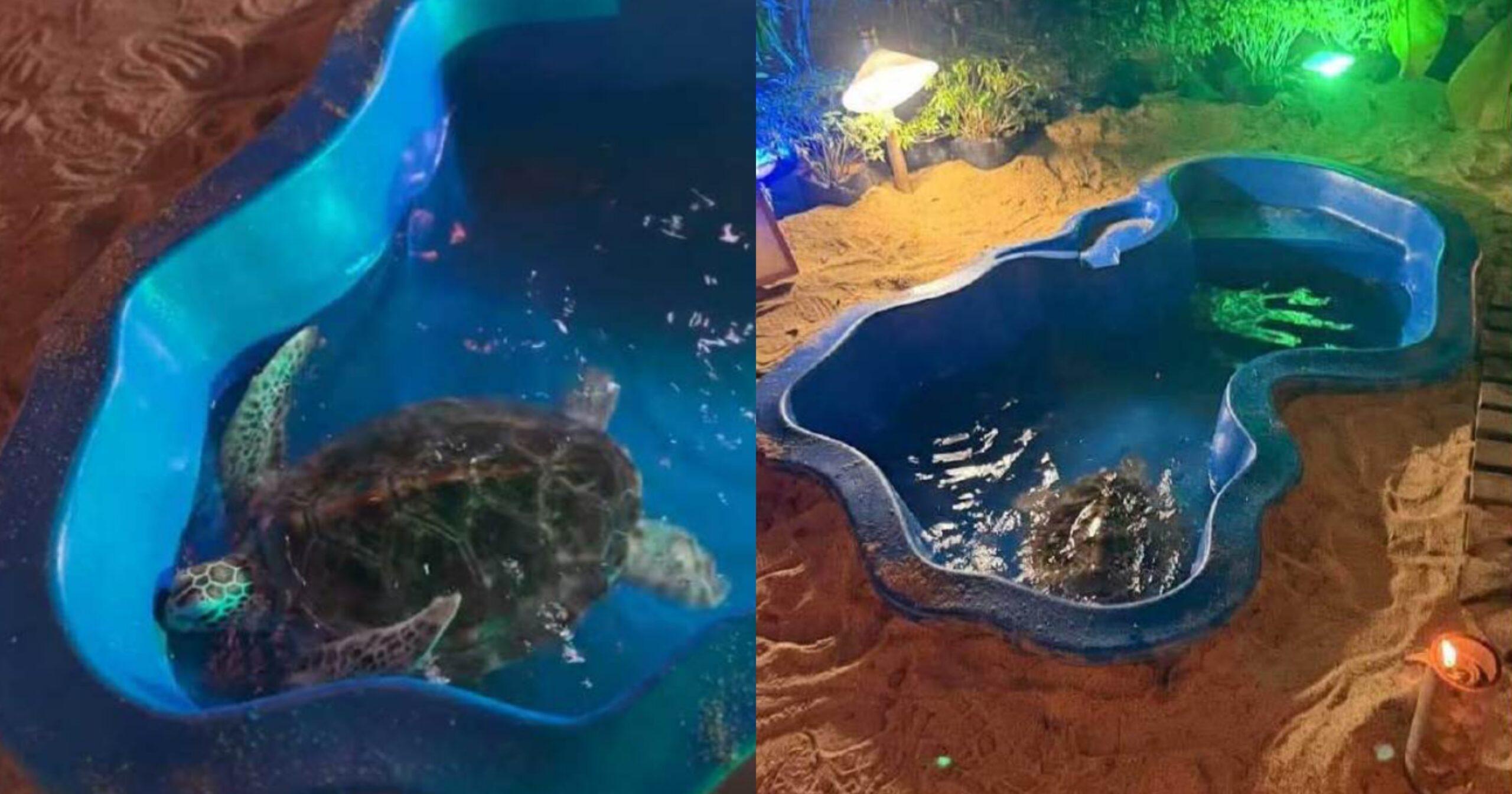 A description of the image