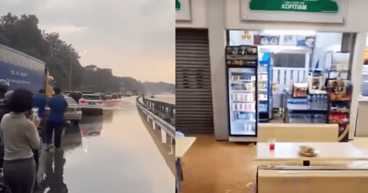 A description of the image