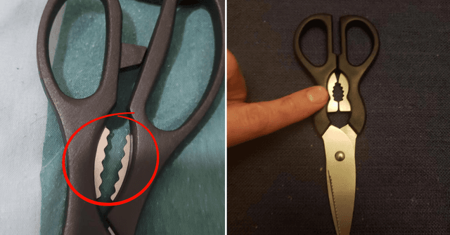 Actually Ah… What Is The Middle Part Of Scissors Actually For?