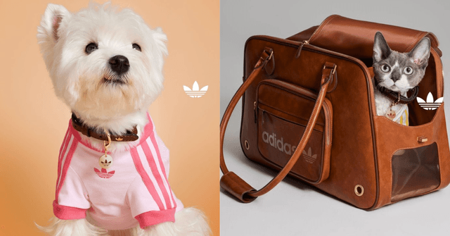 adidas Originals Pet Collection Is Now In Malaysia