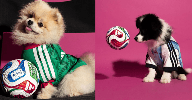 adidas Just Dropped A FIFA World Cup 2026 Collection For Pets So They Can Be Match-Ready Too